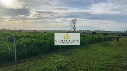 Fazenda / Sítio / Chácara com 5 Quartos à venda, 800m² no Padre Bernardo, Padre Bernardo