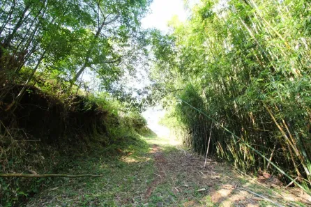 Fazenda / Sítio / Chácara à venda, 15000m² no Pé de Plátano, Santa Maria