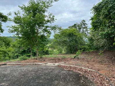 Fazenda / Sítio / Chácara à venda, 2879m² no , Nerópolis