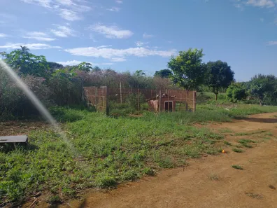 Fazenda / Sítio / Chácara com 3 Quartos à venda, 5000m² no , Padre Bernardo