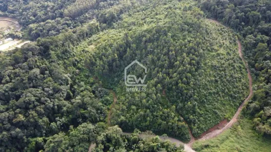 Fazenda / Sítio / Chácara com 1 Quarto à venda, 117526m² no , Massaranduba