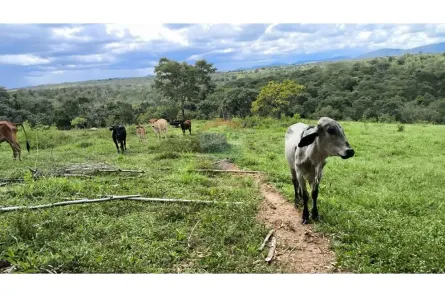 com 3 Quartos à venda, 3133000m² no Vale  Das  Macieiras, Padre Bernardo