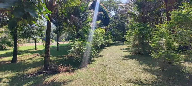 Fazenda / Sítio / Chácara com 2 Quartos à venda, 22000m² no Nossa Senhora do Amparo, Barra Mansa