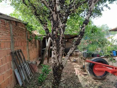 Casa com 2 Quartos à venda, 155m² no Jardim Palmares I, Saltinho