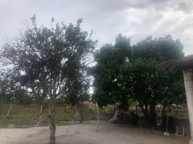Fazenda / Sítio / Chácara com 3 Quartos à venda, 5500m² no , Vera Cruz