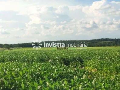 Fazenda / Sítio / Chácara à venda, 683m² no Centro, Divinópolis do Tocantins