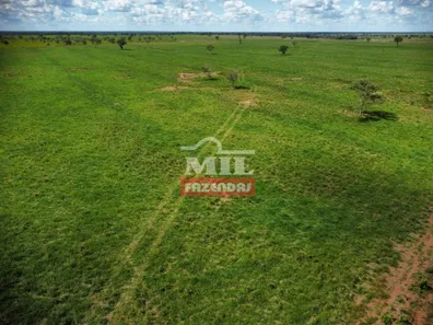 Fazenda / Sítio / Chácara à venda, 27646080m² no , Pium