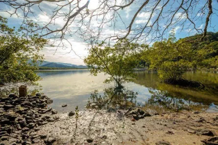 Terreno / Lote / Condomínio à venda, 40435m² no Balneario Praia do Perequê, Guarujá