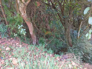 Terreno / Lote / Condomínio à venda, 300m² no Parque Nova Jandira, Jandira