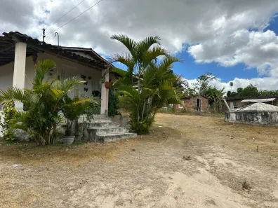 Fazenda / Sítio / Chácara com 2 Quartos à venda, 20000m² no , Sairé