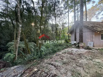 Fazenda / Sítio / Chácara com 1 Quarto à venda, 7286m² no Serrinha, Contenda