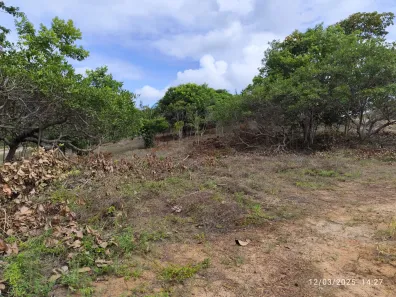 Terreno / Lote / Condomínio à venda, 1000m² no Itacimirim (Monte Gordo), Camaçari