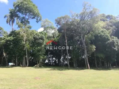 Fazenda / Sítio / Chácara com 2 Quartos à venda, 120m² no Campestre da Faxina, São José dos Pinhais