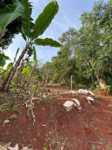 Fazenda / Sítio / Chácara à venda, 2499m² no Condomínio Horizontal Marajoara, Ibiporã