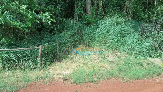 Fazenda / Sítio / Chácara à venda, 13000m² no , Corbélia