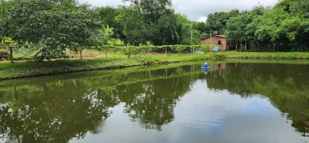 Fazenda / Sítio / Chácara à venda, 252720m² no , Nerópolis