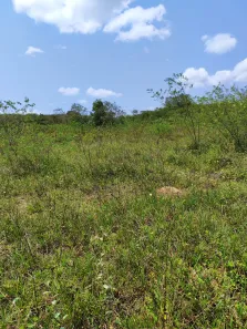 Fazenda / Sítio / Chácara com 3 Quartos à venda, 112000m² no , Vera Cruz