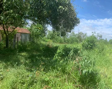 Fazenda / Sítio / Chácara com 1 Quarto à venda, 24200m² no Vila Menino Jesus, Caçapava