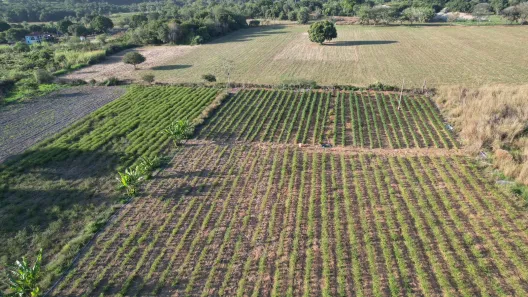 Fazenda / Sítio / Chácara com 1 Quarto à venda, 160000m² no Arapoanga, Brasília