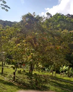 Terreno / Lote / Condomínio à venda, 62779m² no Aldeinha, Itapecerica da Serra