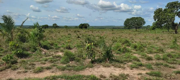 Fazenda / Sítio / Chácara à venda, 320m² no , Pedro Afonso
