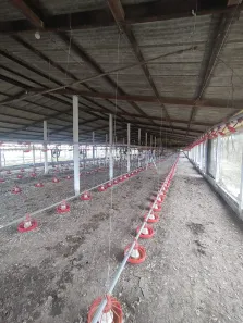 Fazenda / Sítio / Chácara com 4 Quartos à venda, 2650000m² no Alto José Leal, Vitória de Santo Antão