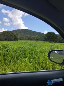 Terreno / Lote / Condomínio à venda, 253m² no Setor Aeroporto, Gurupi