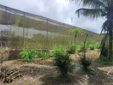 Fazenda / Sítio / Chácara com 3 Quartos à venda, 80000m² no Alpes Suiços, Gravatá