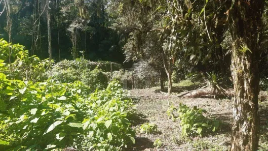 Terreno / Lote / Condomínio à venda, 2139m² no Chácara São Geraldo, Embu-Guaçu