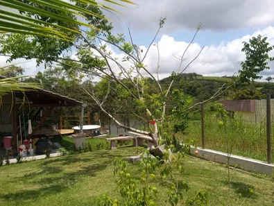 Casa de Condomínio com 4 Quartos à venda, 217m² no , Moreno