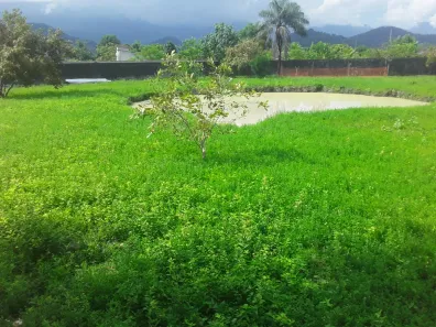 Fazenda / Sítio / Chácara com 2 Quartos à venda, 27000m² no Citrolândia, Guapimirim