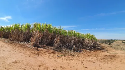 Fazenda / Sítio / Chácara à venda, 72600m² no Área Rural de Águas de São Pedro, Águas de São Pedro