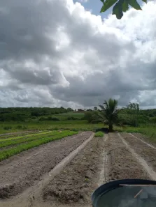 Fazenda / Sítio / Chácara com 2 Quartos à venda, 9000m² no , Vera Cruz