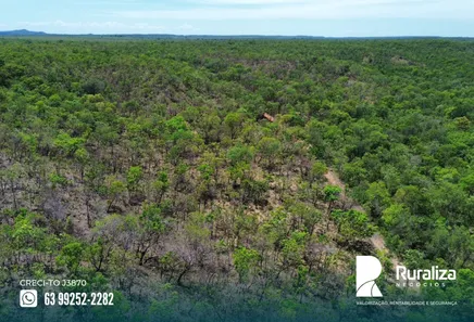 Fazenda / Sítio / Chácara à venda, 290m² no , Ponte Alta do Tocantins
