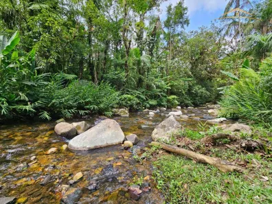Fazenda / Sítio / Chácara à venda, 463710m² no Ponta da Pedra, Antonina
