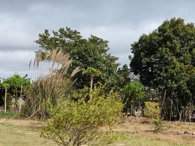 Fazenda / Sítio / Chácara com 5 Quartos à venda, 3000m² no Carafá, Votorantim