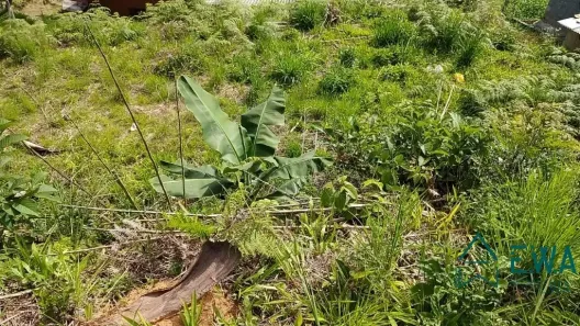 Terreno / Lote / Condomínio à venda, 352m² no , São Pedro de Alcântara
