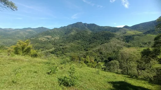 Fazenda / Sítio / Chácara com 3 Quartos à venda, 25000m² no , Rio Bonito