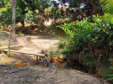 Fazenda / Sítio / Chácara com 2 Quartos à venda, 200000m² no Nossa Senhora do O, Ipojuca