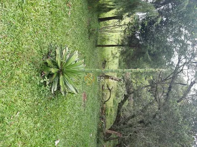 Fazenda / Sítio / Chácara à venda, 43700m² no Estação, Araucária