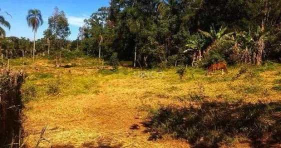 Terreno / Lote / Condomínio para alugar, 3950m² no Residencial Ibi-Aram II, Itupeva