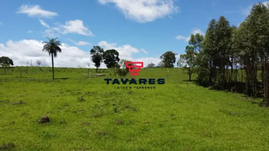 Terreno / Lote / Condomínio à venda, 20000m² no , Caeté