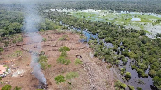 Fazenda / Sítio / Chácara à venda, 213m² no , Lagoa da Confusão