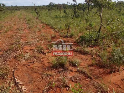 Fazenda / Sítio / Chácara à venda, 1050m² no , Ponte Alta do Tocantins