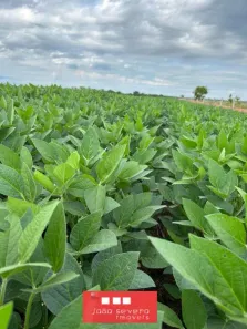 Fazenda / Sítio / Chácara à venda, 1016400m² no , Santa Rita do Tocantins