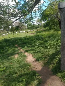 Fazenda / Sítio / Chácara à venda, 4345240m² no , Porto Murtinho