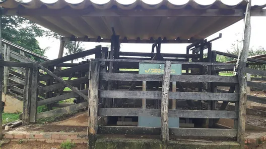 Fazenda / Sítio / Chácara à venda, 280000m² no Centro, Formosa