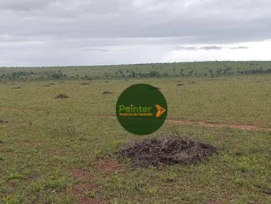 Fazenda / Sítio / Chácara à venda, 17151750m² no , Ponte Alta do Tocantins