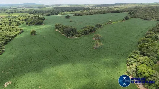 Terreno / Lote / Condomínio à venda, 39m² no Centro, Goianésia