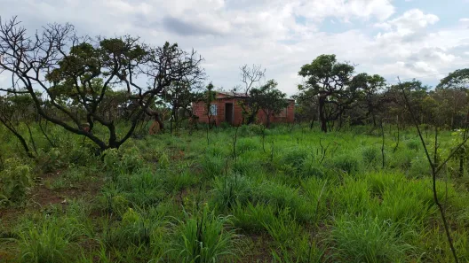 Fazenda / Sítio / Chácara com 1 Quarto à venda, 21000m² no Área Rural do Gama, Brasília